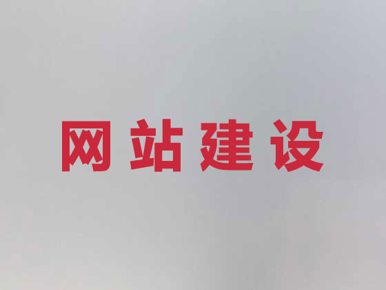 丽水网站建设公司